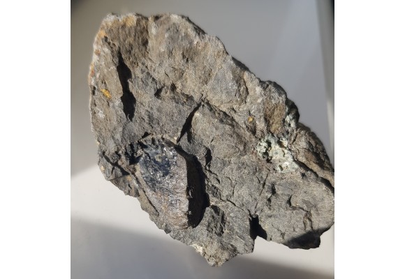 Wielki ksenokryształ piroksenu w bazalcie z Lutyni k. Lądka Zdroju