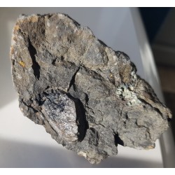 Wielki ksenokryształ piroksenu w bazalcie z Lutyni k. Lądka Zdroju