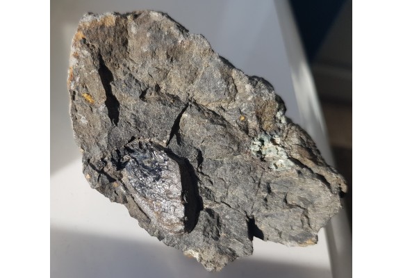 Wielki ksenokryształ piroksenu w bazalcie z Lutyni k. Lądka Zdroju