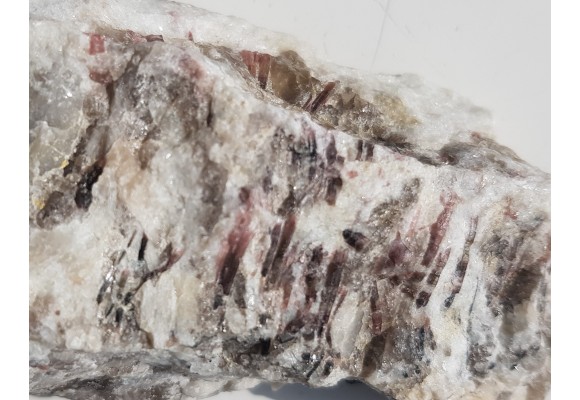 Elbait z Piławy Grn.