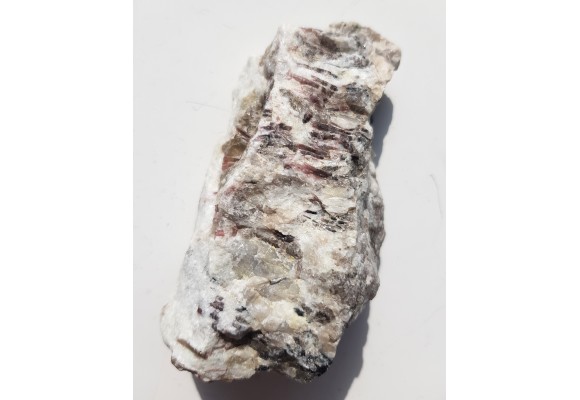 Elbait z Piławy Grn.