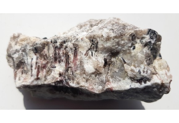 Elbait z Piławy Grn.