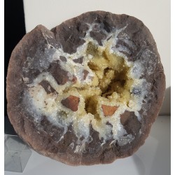 Septaria z Częstochowy