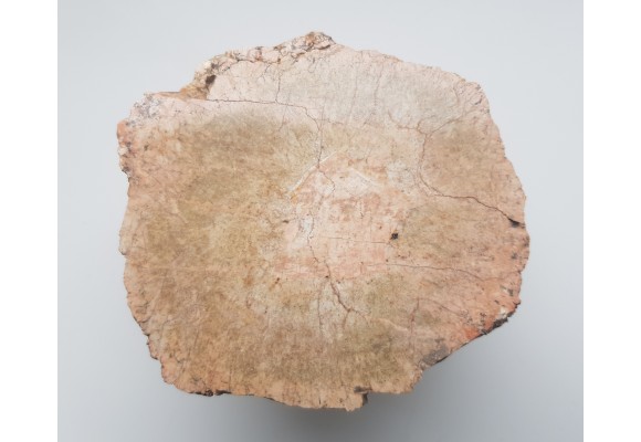 Granit kulisty (orbikularny) z Czarnego k. Jeleniej Góry