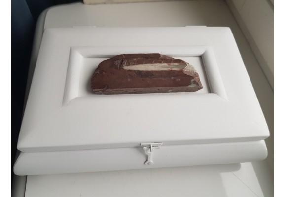 Biała szkatułka z paleozoicznym orthocerasem
