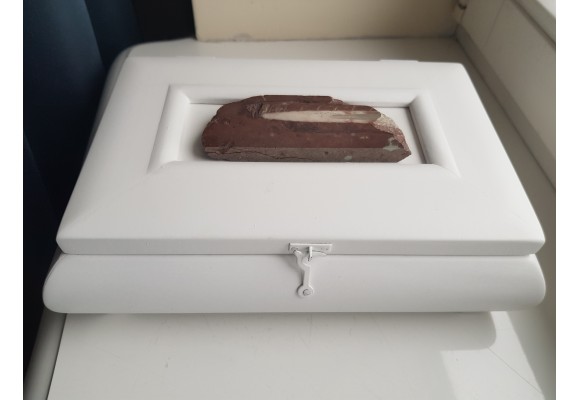 Biała szkatułka z paleozoicznym orthocerasem