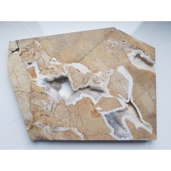 Ozdobny dolomit z kawerną ze Sławniowic