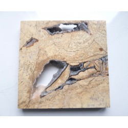 Ozdobny dolomit z kawerną ze Sławniowic