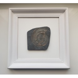 Obraz z amonitem jurajskim Na szczęście