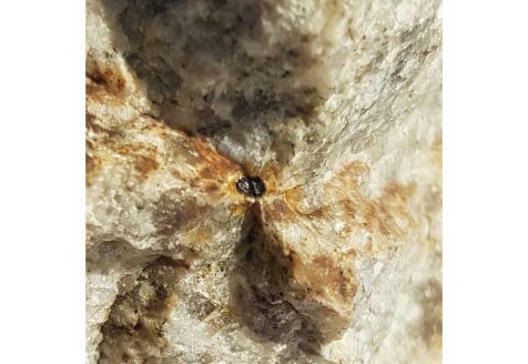 Allanit w pegmatycie z Koźmic, Wzg. Strach