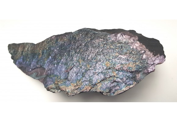 Piękny okaz bornitu na łupku miedzionośnym z KGHM