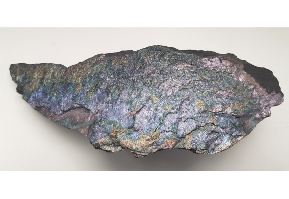 Piękny okaz bornitu na łupku miedzionośnym z KGHM