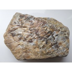 Staurolit w łupku mikowym z Głuchołaz