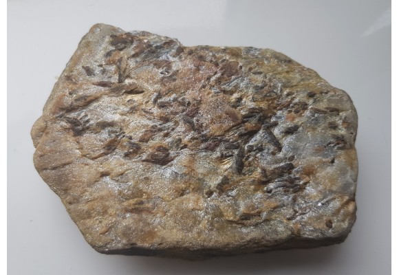 Staurolit w łupku mikowym z Głuchołaz