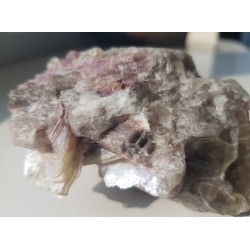 Rubellity z Piławy Grn.