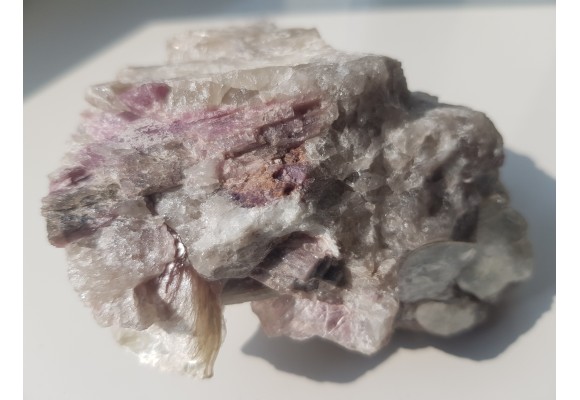 Rubellity z Piławy Grn.