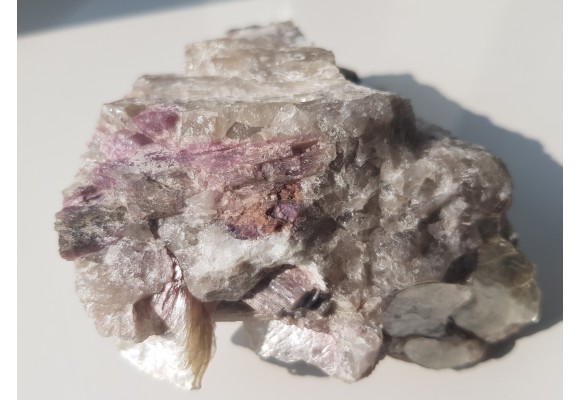 Rubellity z Piławy Grn.