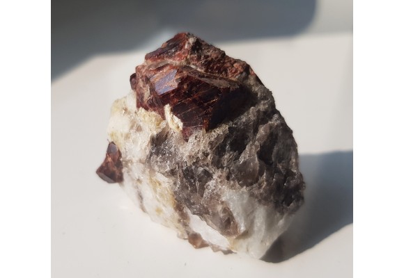 Duży, pięknie wykształcony granat w pegmatycie z Piławy Grn.