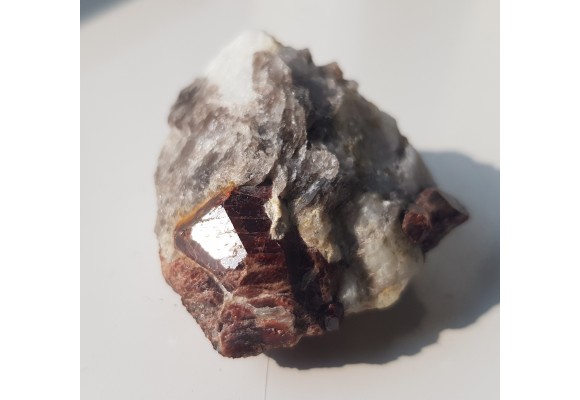 Duży, pięknie wykształcony granat w pegmatycie z Piławy Grn.