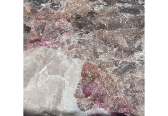 Elbait z Piławy Grn.