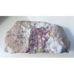 Elbait z Piławy Grn.