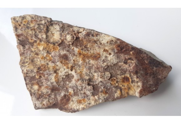 Wavellit z Wiśniówki k. Kielc