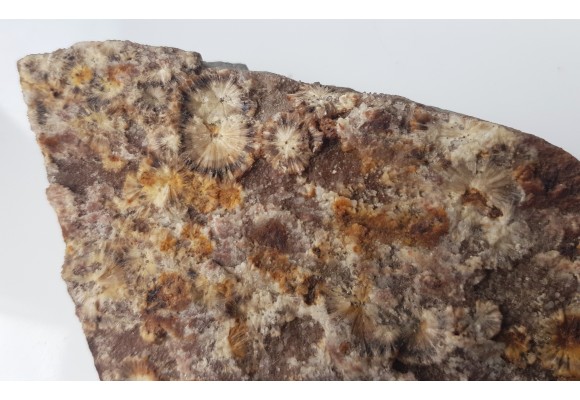 Wavellit z Wiśniówki k. Kielc