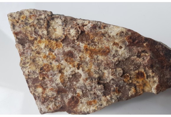 Wavellit z Wiśniówki k. Kielc