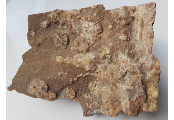 Wavellit z Wiśniówki k. Kielc