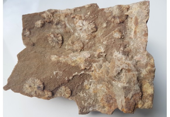 Wavellit z Wiśniówki k. Kielc