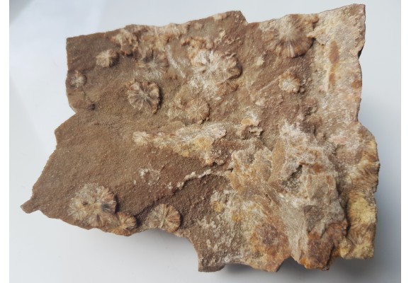 Wavellit z Wiśniówki k. Kielc