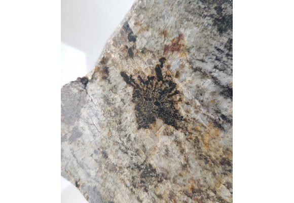 Przerosty pismowe kwarcu i kordierytu z Gór Sowich