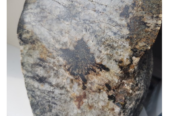 Przerosty pismowe kwarcu i kordierytu z Gór Sowich