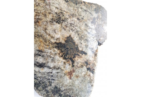 Przerosty pismowe kwarcu i kordierytu z Gór Sowich