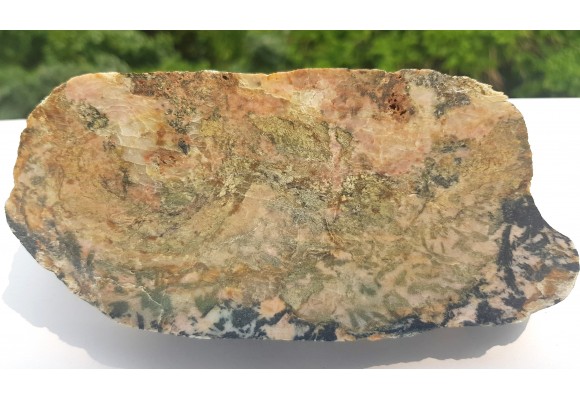 Strefa saussurytyzacji w amfibolitach z Głuchołaz