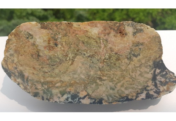 Strefa saussurytyzacji w amfibolitach z Głuchołaz