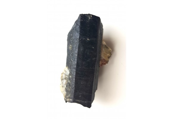 Szerl z Piławy Grn.