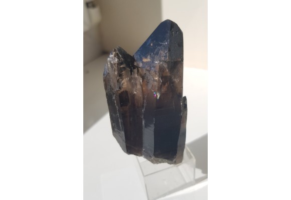 Zrost kwarców dymnych ze Strzegomia