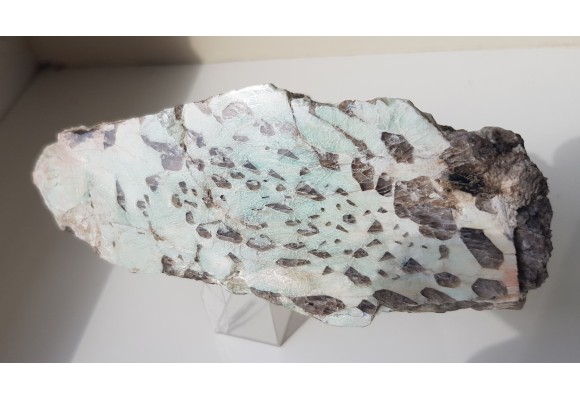 Amazonitowy pegmatyt z Bukowca k. J. Góry