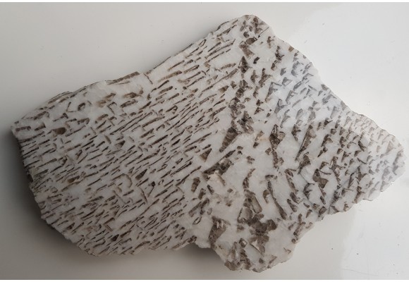 Plaster kamienia hebrajskiego z Piławy Grn.