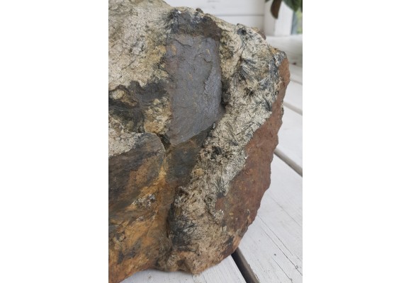 Gedryt (słońca gedrytowe) z Skisshyttan, Dalarna (Szwecja)