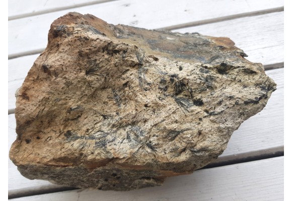 Gedryt (słońca gedrytowe) z Skisshyttan, Dalarna (Szwecja)