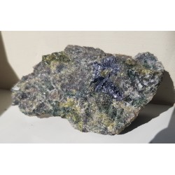 Skapolit, chalkopiryt i molibdenit w skarnie ze Svappavaary, Norrbotten (Szwecja)