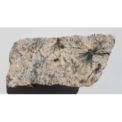 Piękne tzw. słońca gedrytowe ze Skisshyttan, Dalarna, Szwecja