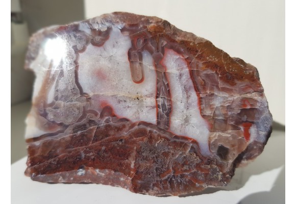 Agat pseudostalaktytowy z Suszyny k. Kłodzka