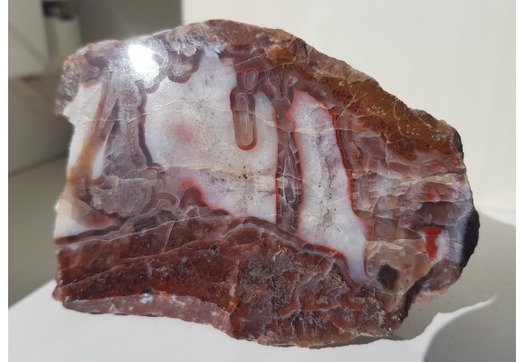 Agat pseudostalaktytowy z Suszyny k. Kłodzka