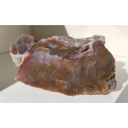 Strefy agatowe w jaspisie z Suszyny k. Kłodzka