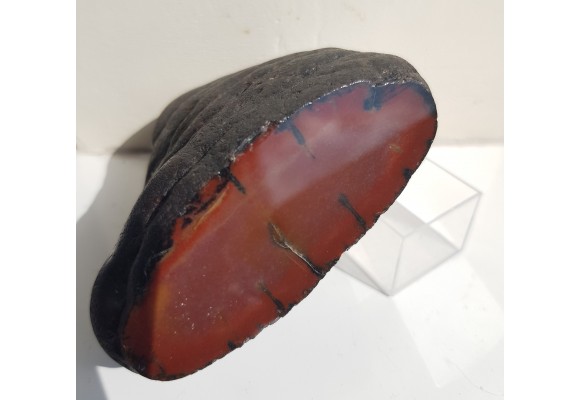 Piękna konkrecja chalcedonowa z aluwiów Nysy Kłodzkiej, zb. Pilce