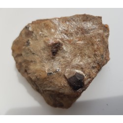 Duże kryształy - granat i staurolit oraz ilmenit w łupku mikowym z Głuchołaz