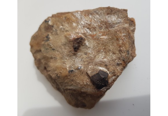 Duże kryształy - granat i staurolit oraz ilmenit w łupku mikowym z Głuchołaz